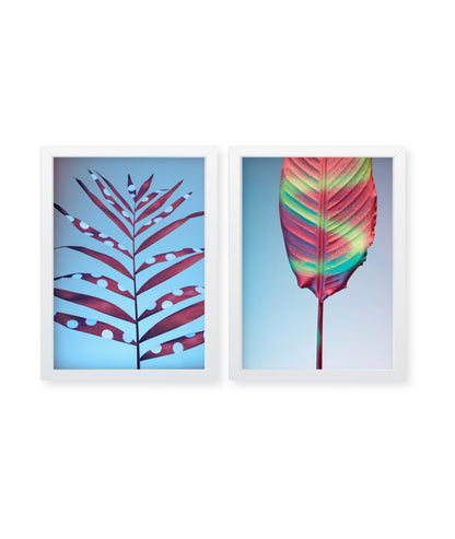 Tropical Wall Art Set of 2, Blue Botanical Plants wall decor Frames