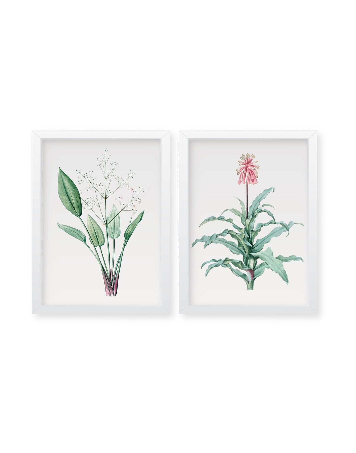 Tropical Wall Art Set of 2, water color effect Botanical Plants wall decor Frames